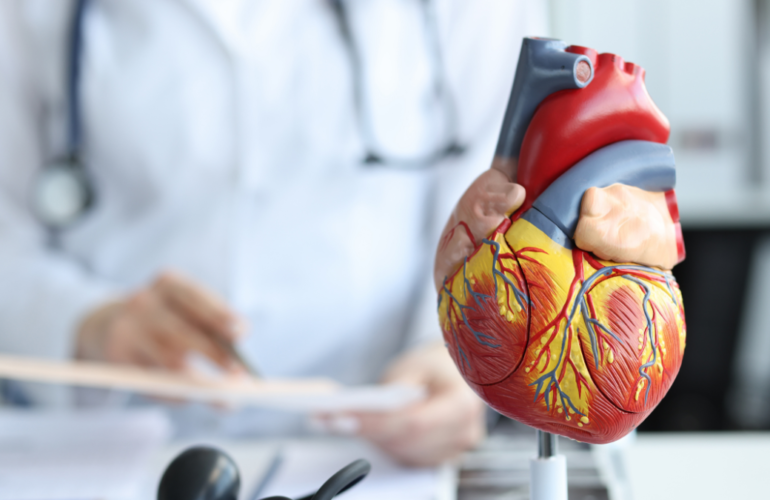 Understanding Heart Conditions and Treatment