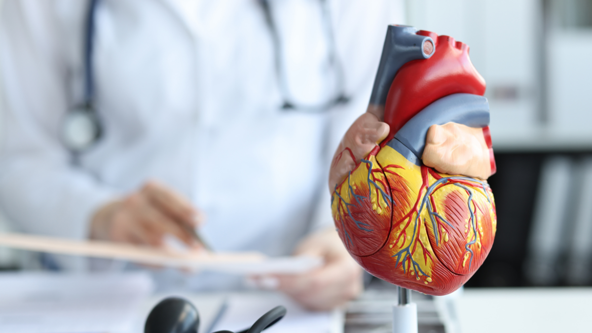 Understanding Heart Conditions and Treatment