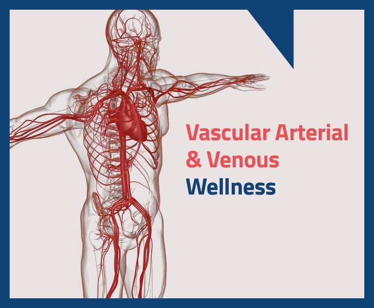 Vascular Arterial & Venous Wellness Northern Heart Hospital