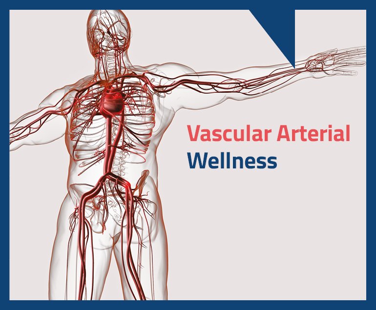 Vascular Arterial Wellness Northern Heart Hospital