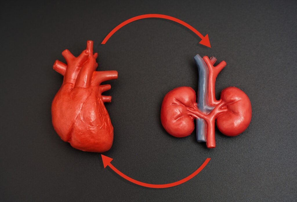 The Heart-Kidney Connection