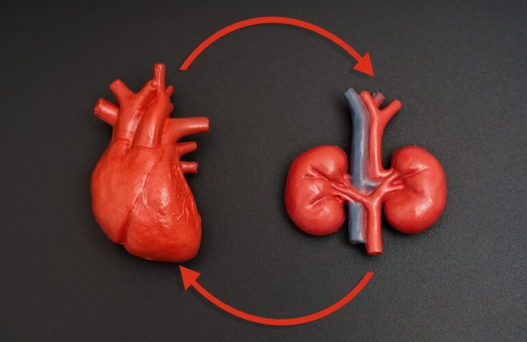 The Heart-Kidney Connection