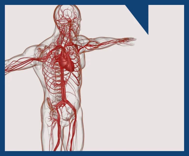 Vascular Screening Package - Northern Heart Hospital Penang